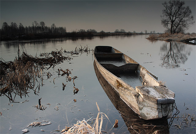 Poranek nad Biebrzą...