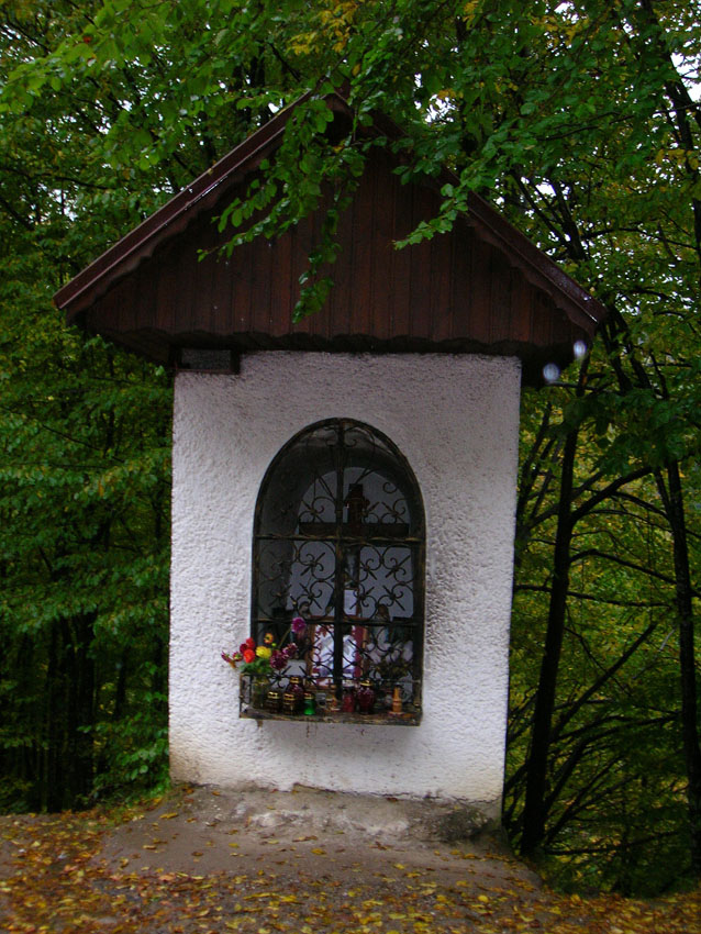 Kapliczka w drodze do Łopienki