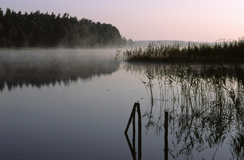 Mazury