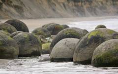 Moeraki boulders... II