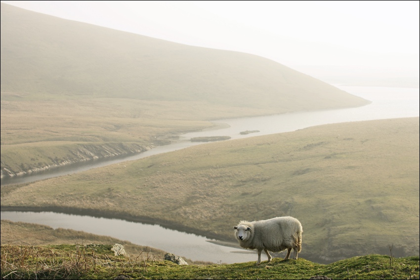 Snowdonia cd