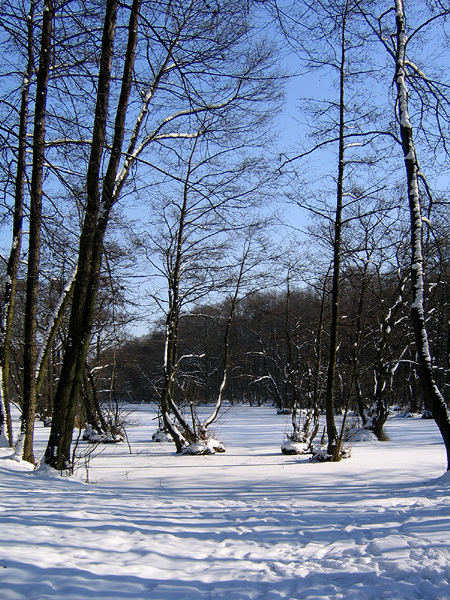 Niebieskie Żródła