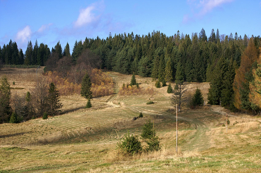 Pasmo Radziejowej