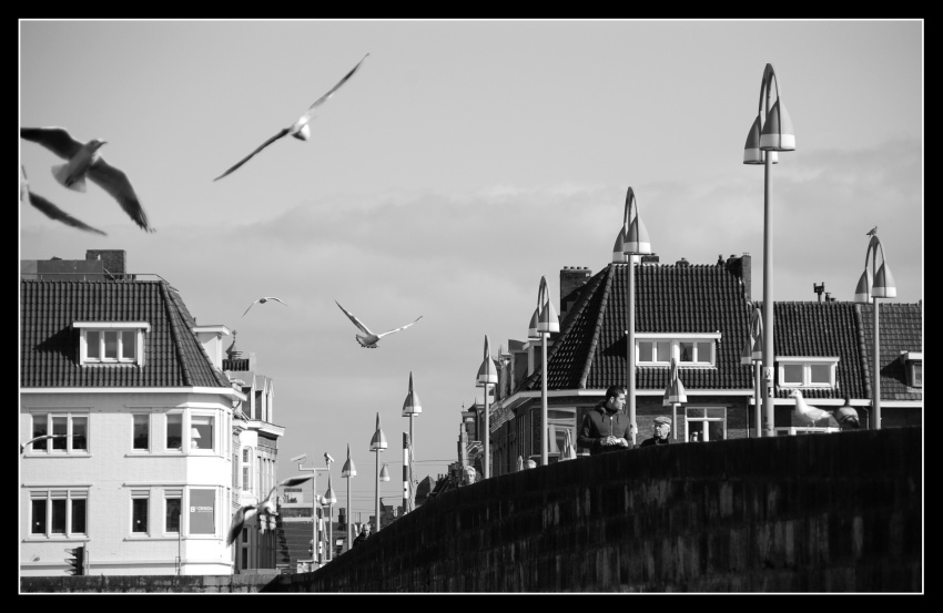 St. Servaasbrug, Maastricht