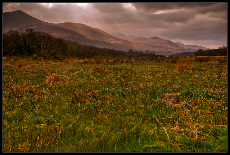 Killarney National Park