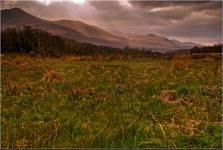 Killarney National Park