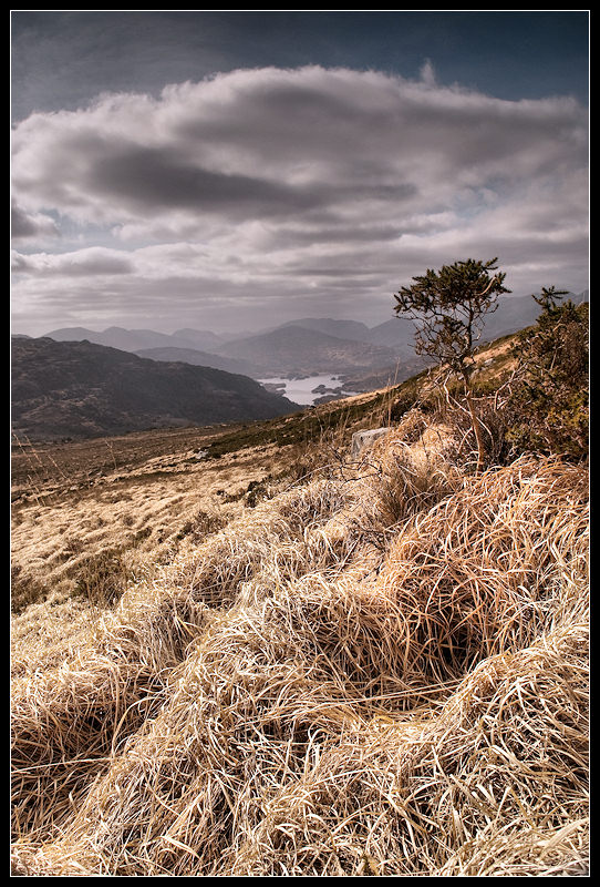 Killarney National Park