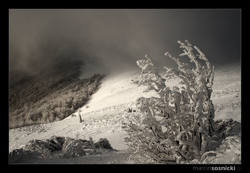 Bieszczady