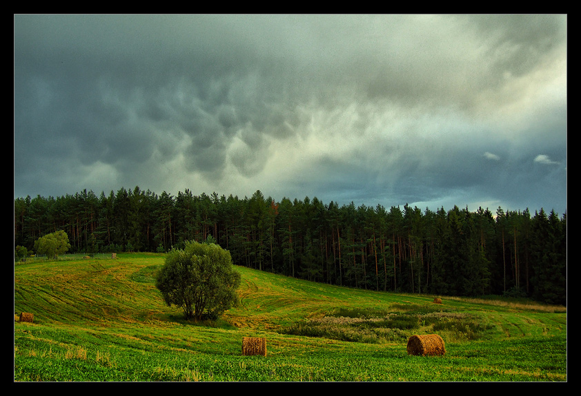 W KRAINIE WALCÓW II