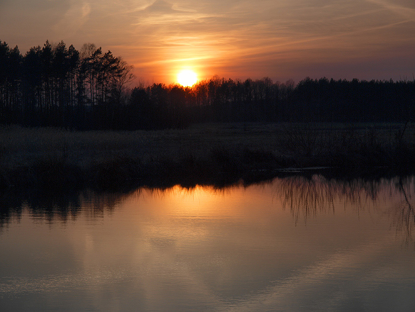 pierwszy wiosenny zachodzik (2)