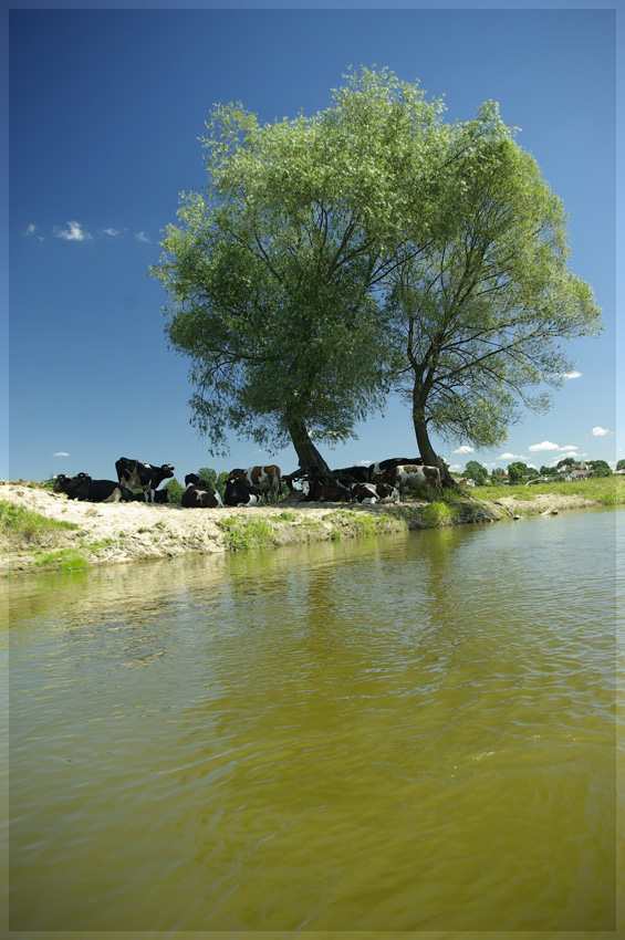 Ot zwyczajnie, jak to nad Bugiem