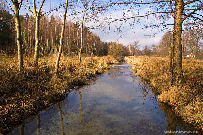 Strumień czasu