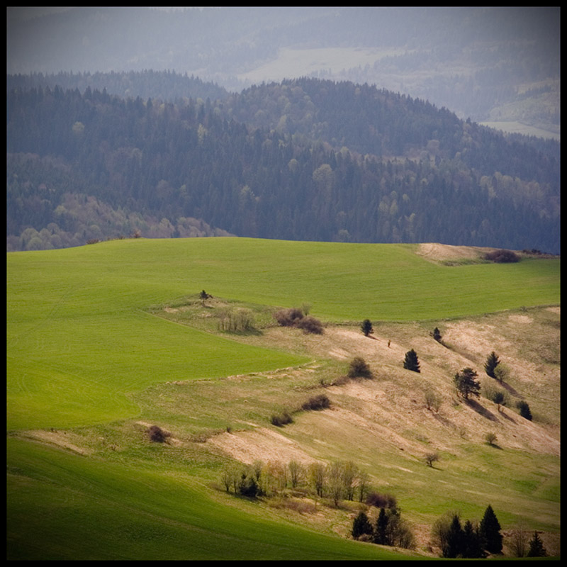 Pieniny