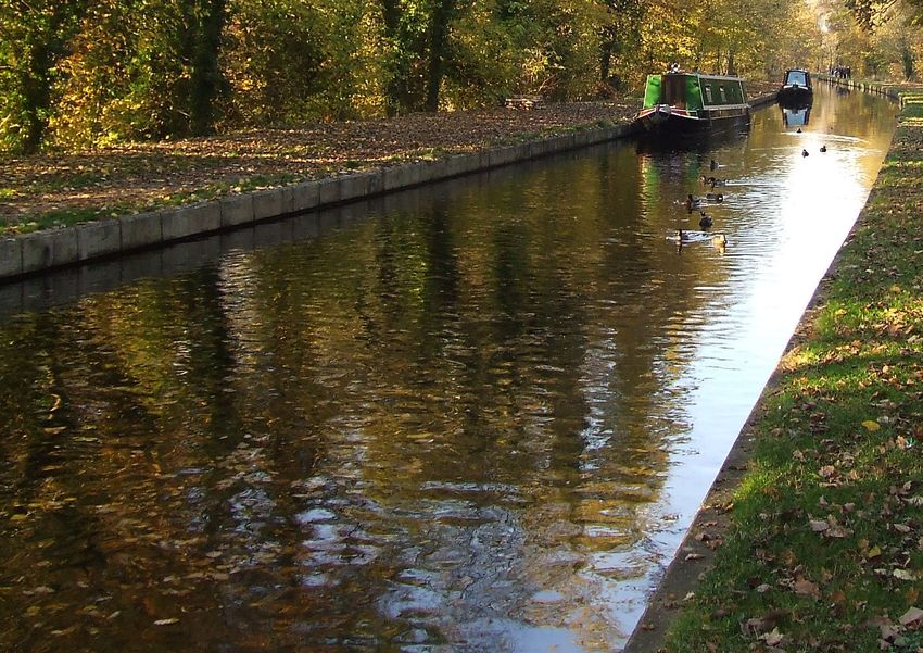 Llangollen Canal Walia