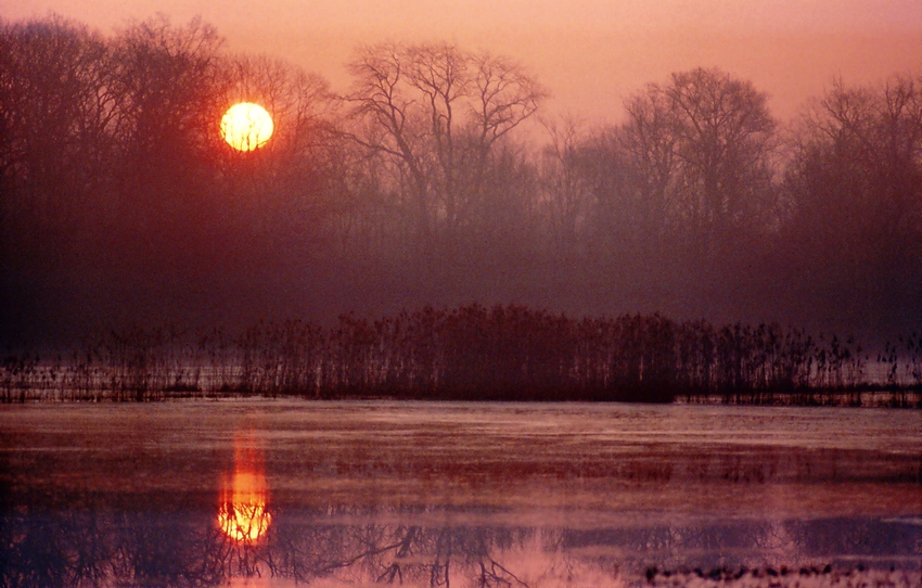 Okołogrzybieński poranek, marzec 2009