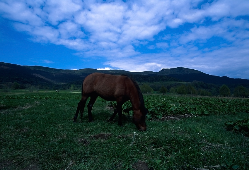 bieszczady maj 2008