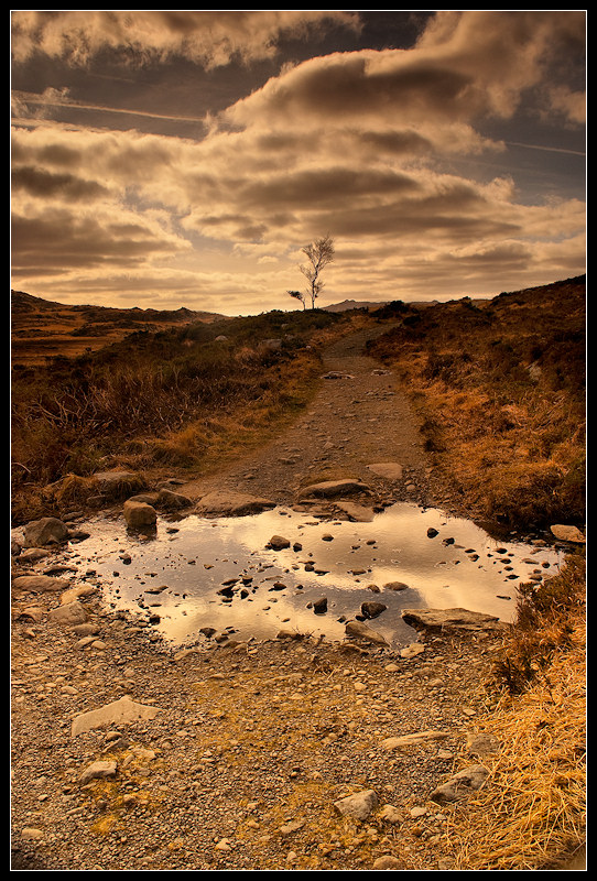 Killarney National Park