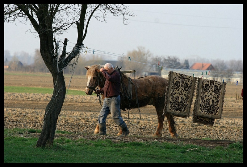 po bronowaniu