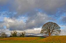 ...:::Irlandia:::...