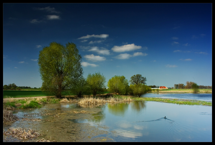 Wiosna nad Stawem....