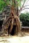 Ta Prohm