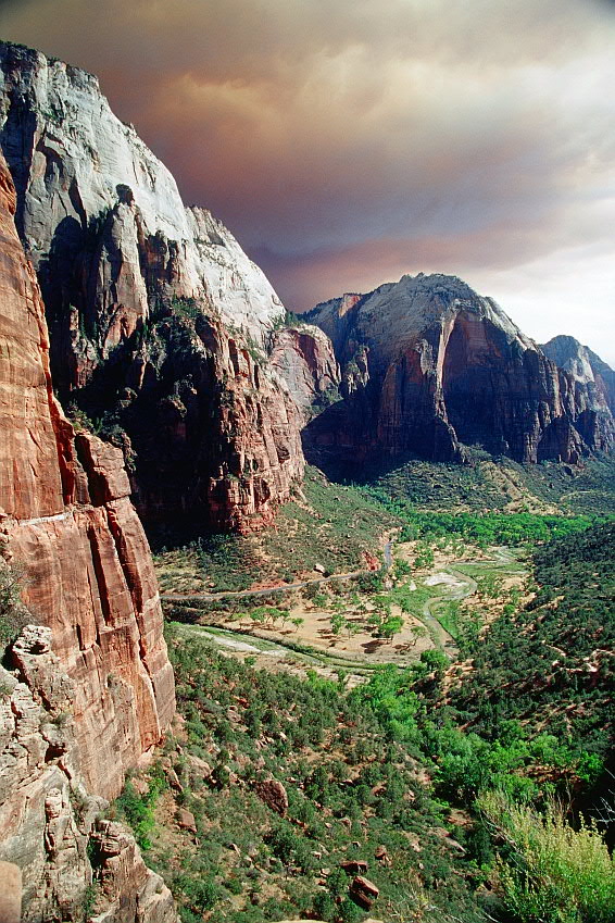 Zion National Park II