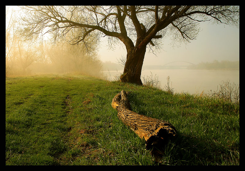 poranek nad Wisłą