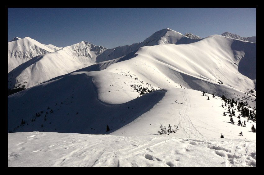 grzeskowy widok...