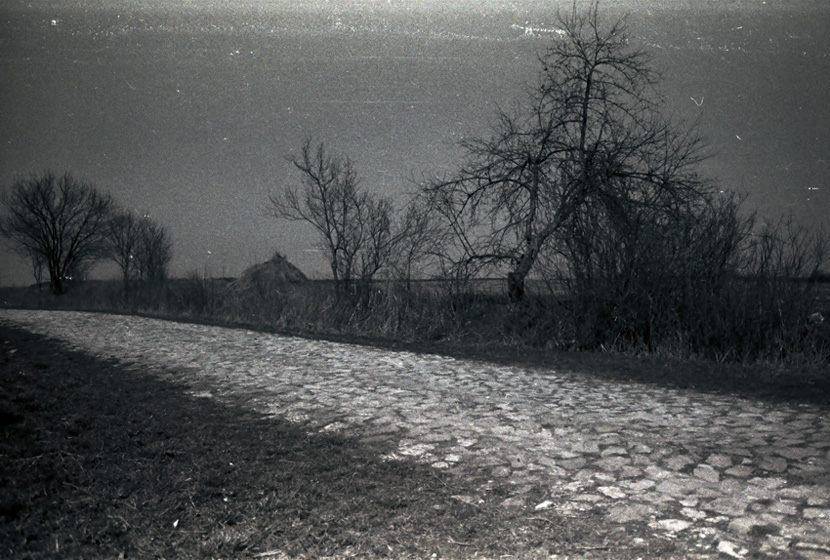 road on meadow