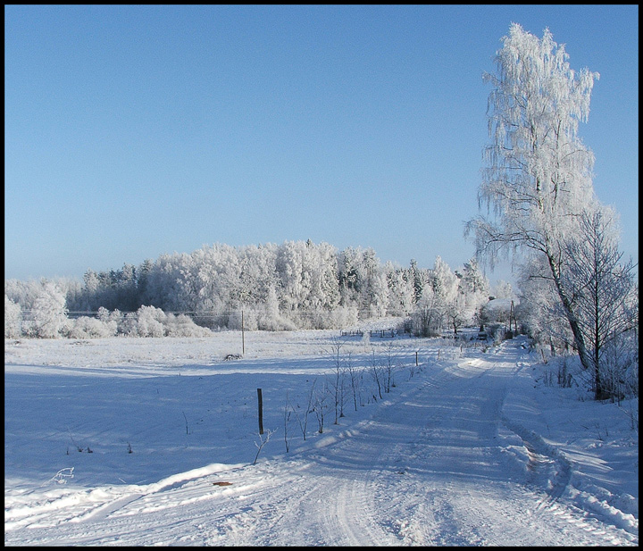 White road