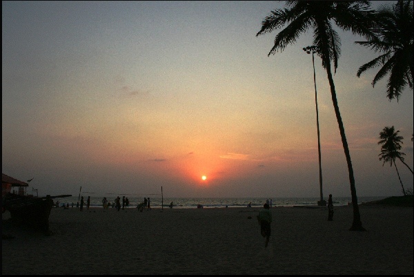 GOA