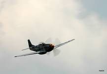 Mustang P-51D