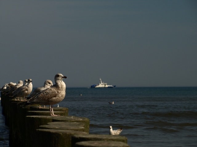 słoneczna ustka :)