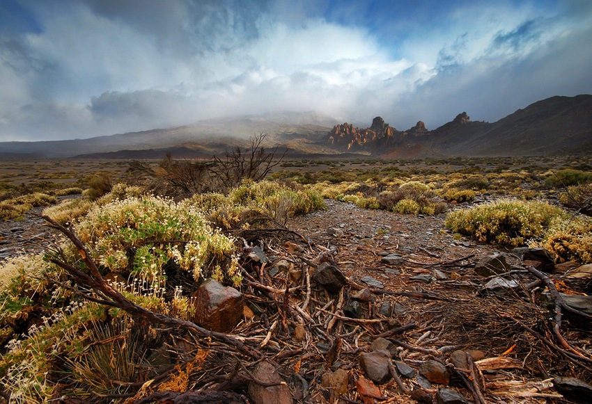 Llano de Ucanca