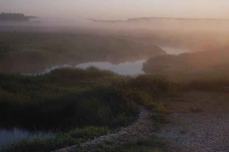 Narew