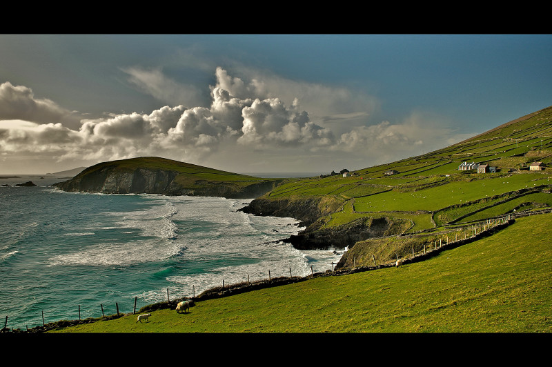 DINGLE IRLANDIA