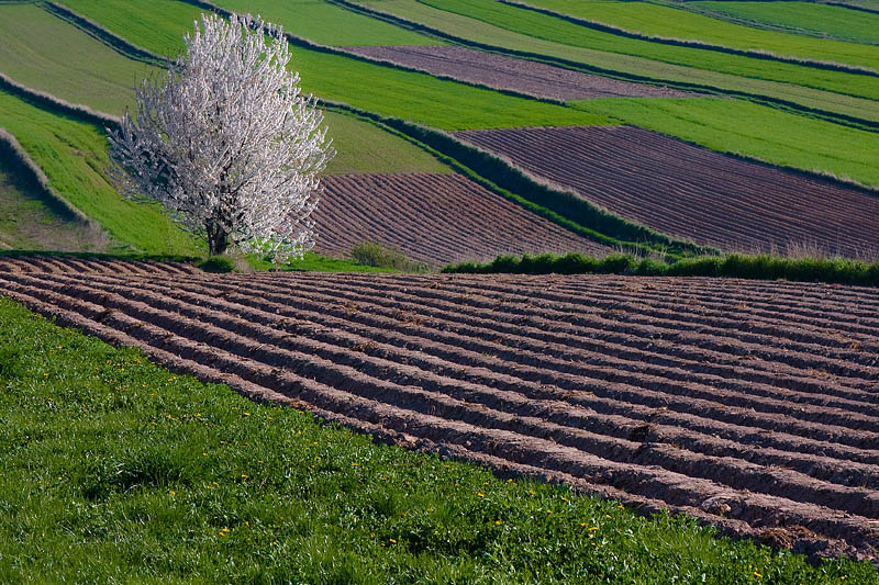 Świetokrzyskie 01