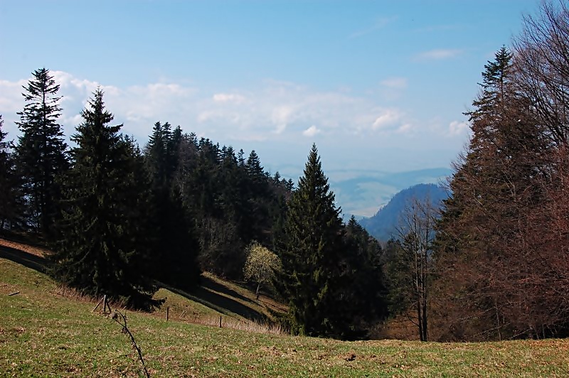 pieniny wiosną