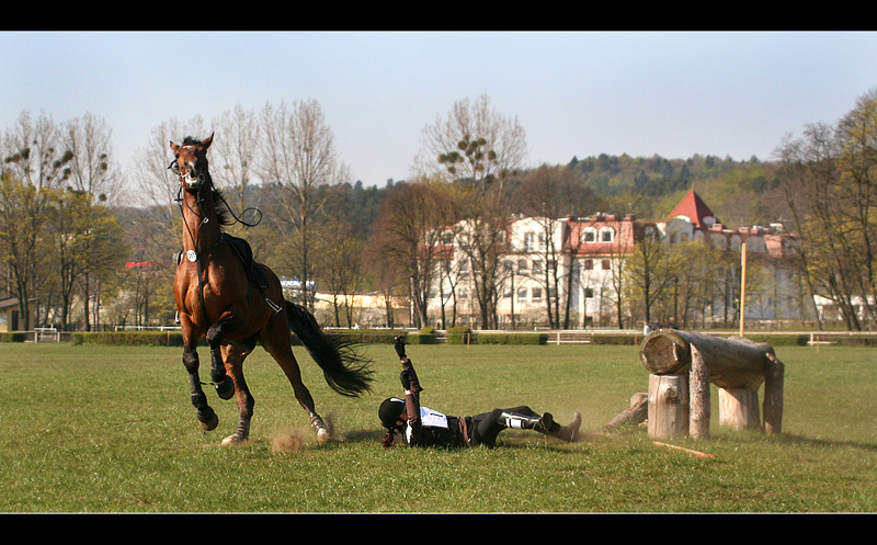 Zryw wolności