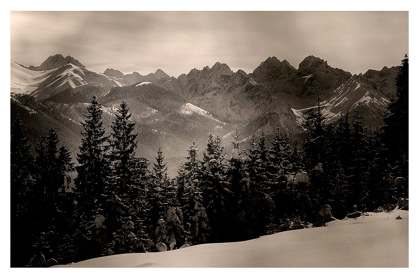 tatry moje własne