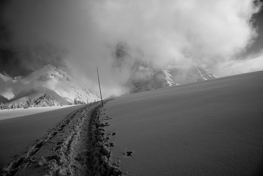 Gąsienicowa b&w