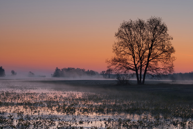 Wschód nad Narwią