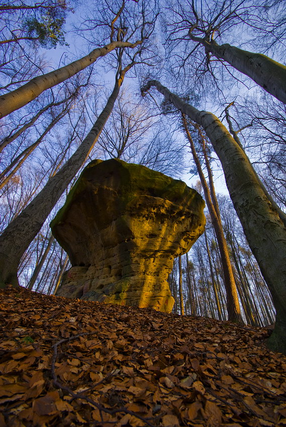 rezerwat Kamień Grzyb, okolice Wiśnicza