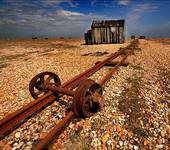 Dungeness