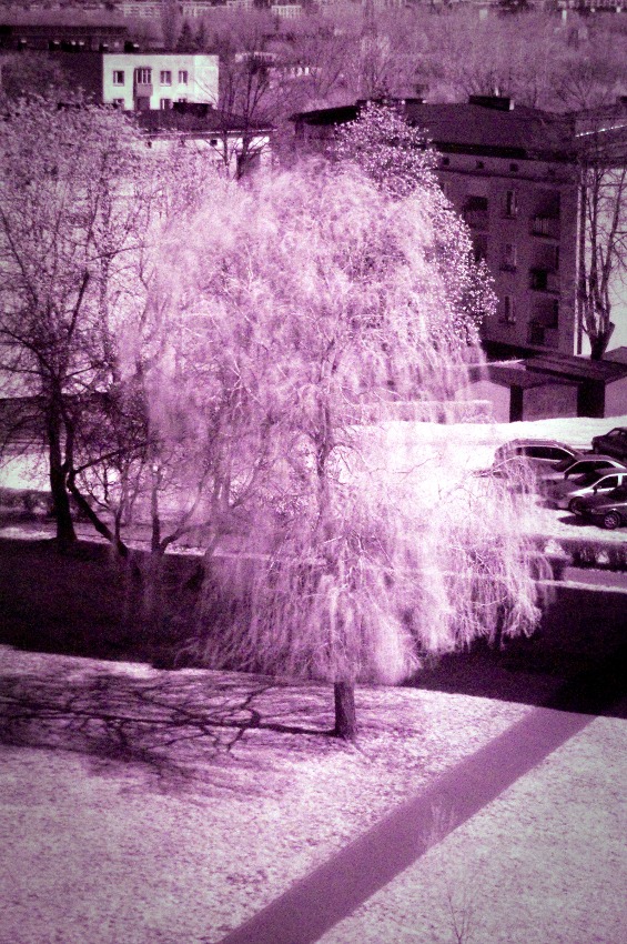 IR Tree