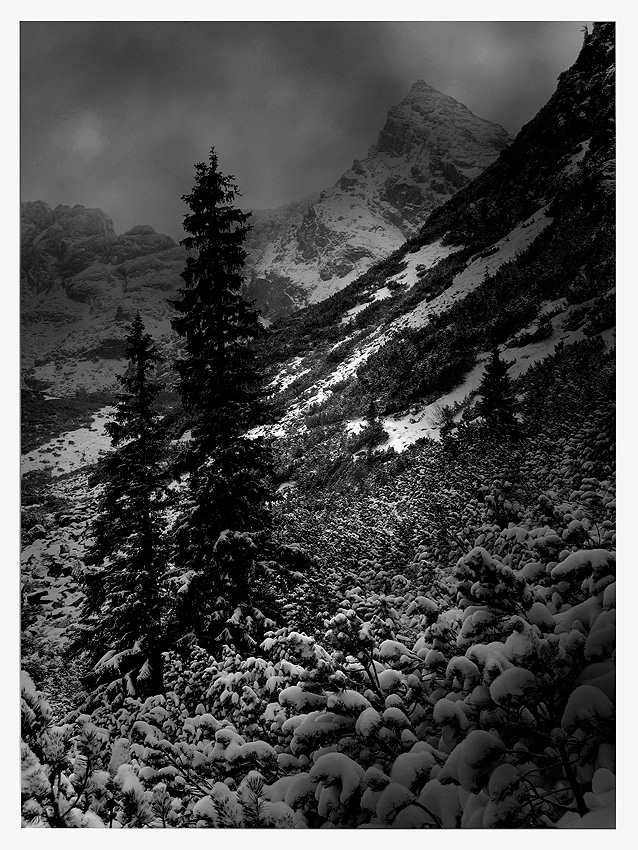 tatry moje własne