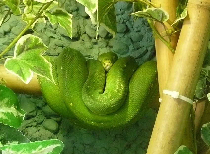 łódzkie zoo 1