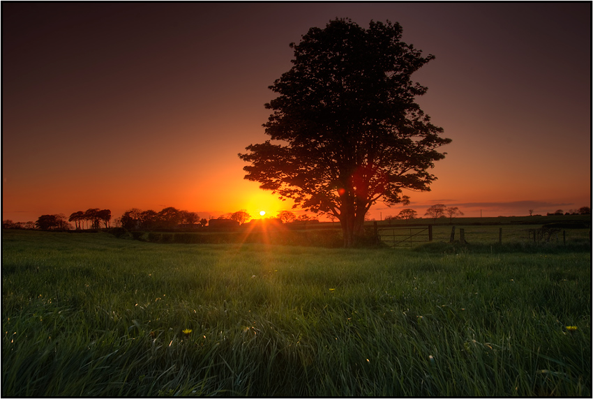 Catching the last light