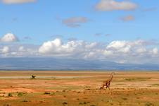 Amboseli