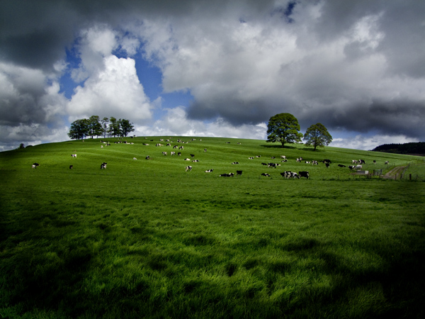 Yorkshire Dales